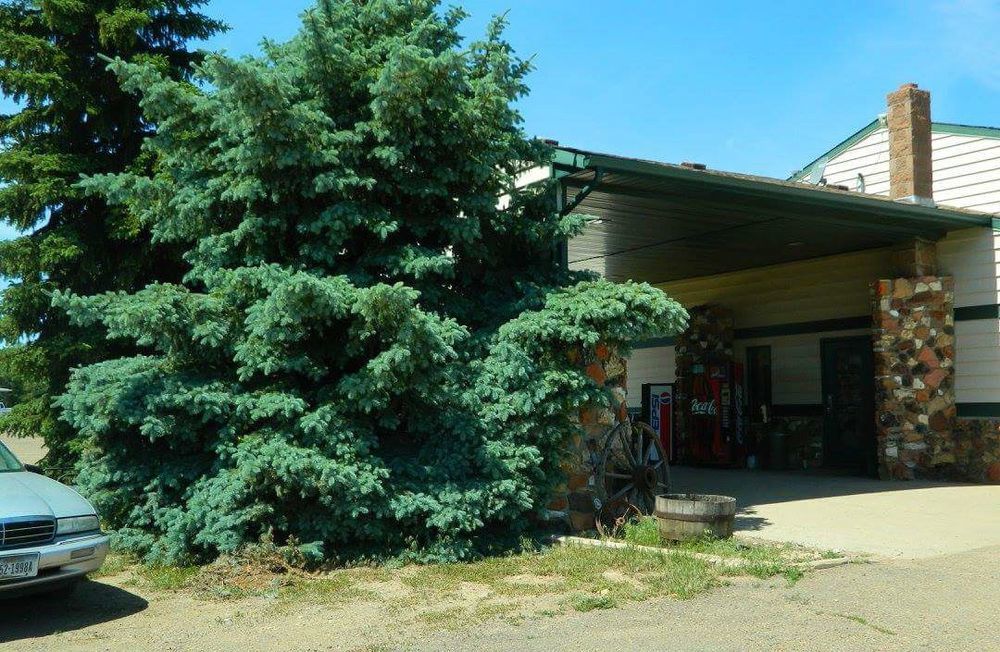 Rodeway Inn Gateway To Medora T-Roosevelt & Makoshika State Park Wibaux Dış mekan fotoğraf